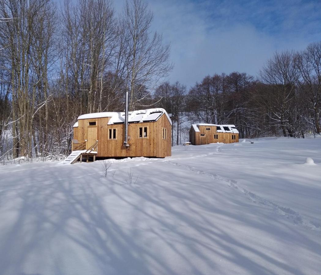 Celorocni Glamping V Pohodlnem Domecku Villa Vyprachtice Exterior photo